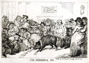 Thomas Rowlandson, ‘The Wonderful Pig’ (1785)