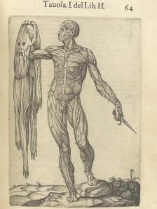 Juan Valverde de Amusco, Historia de la Composicion del Cuerpo Humano (1560)